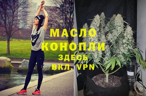 spice Богородск