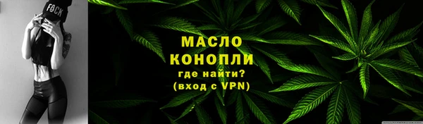 spice Богородск