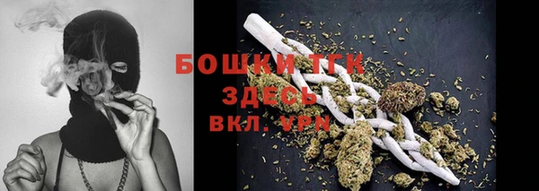 ПСИЛОЦИБИНОВЫЕ ГРИБЫ Белоозёрский
