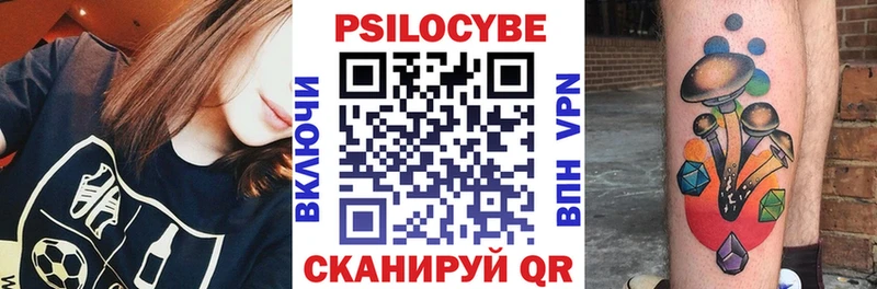 Псилоцибиновые грибы Psilocybe  где купить   Озёрск 